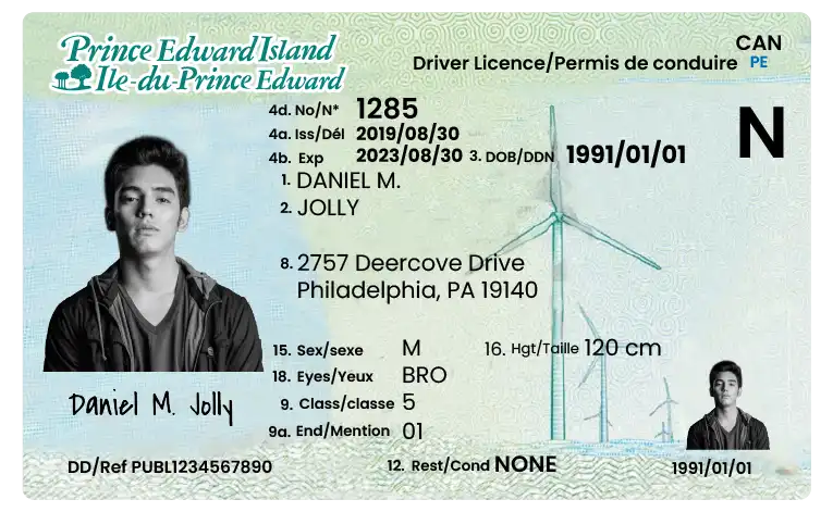 einstate Your Prince Edward Island Driver’s License Fast in 5 Days | TrueNorthLicense.ca Reinstate Your Prince Edward Island Driver’s License Fast
