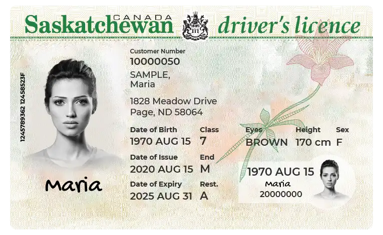 Reinstate Your Saskatchewan Driving License | Fast & Legal Service Reinstate your Saskatchewan Driving License quickly and legally with TrueNorthLicense.ca.