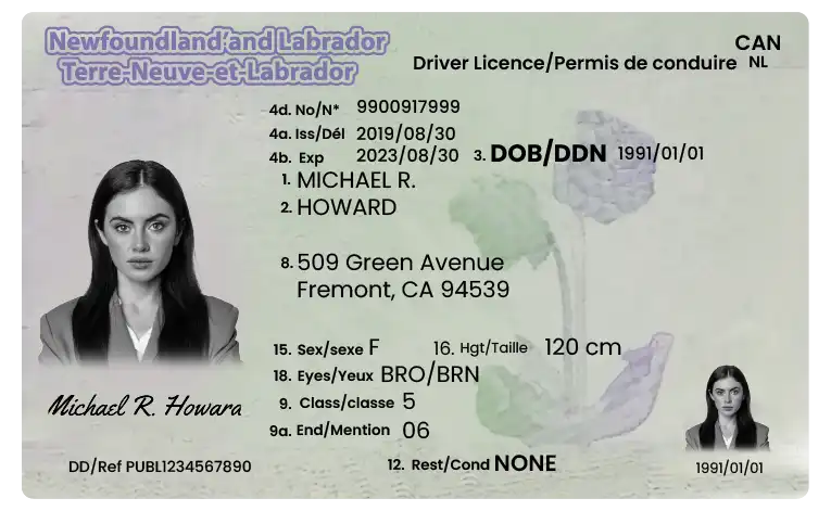 "Reinstate Your Suspended or Revoked Newfoundland and Labrador License Fast" "Reinstate your revoked or suspended Newfoundland and Labrador driving license with TrueNorthLicense.ca."